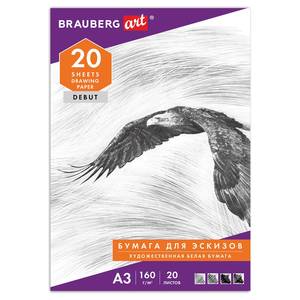 BRAUBERG Папка для рисования BRAUBERG Орёл A3 20л 160г/м2