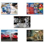 Бумажно-беловые-товары~5377