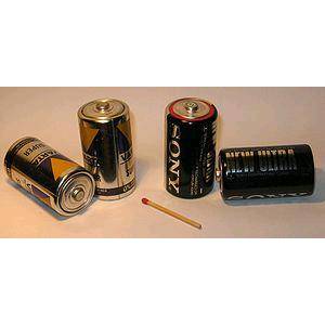 Батарейки-D-большой-бочонок~21251