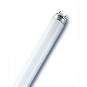 OSRAM Лампа линейная люминесцентная L 36W 120см
