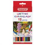 Карандаши-Цветные~21204