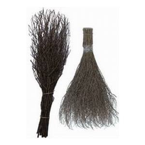 Россия Метла березовая