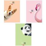 Тетради~17364