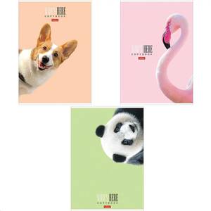 HATBER Тетрадь HATBER Кто Здесь A4 96л клетка, скоба, матовая ламинация, мелованный картон